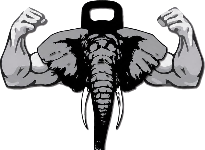TaeSwole's Strength & Wellness logo
